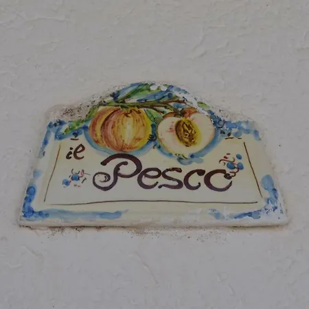 Melograno * San Vito Lo Capo